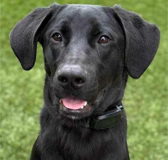 Photo of Hallie