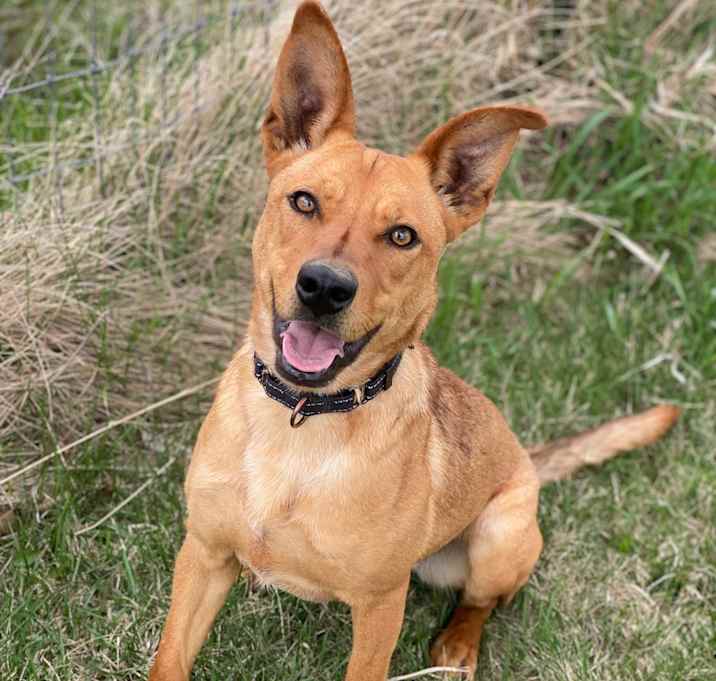 Photo of Gizelle
