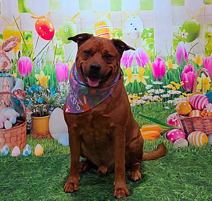 Photo of Zeus