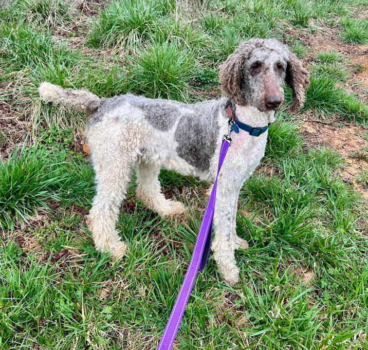 Photo of Knox