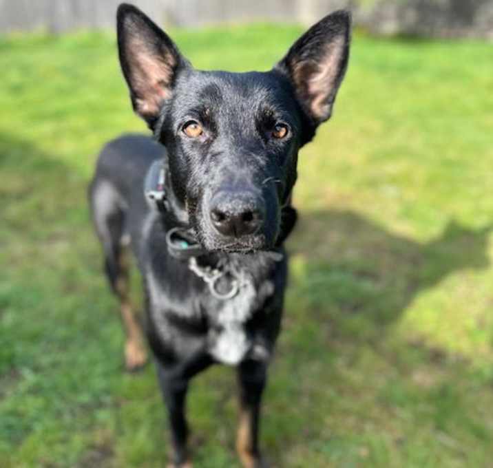 Photo of Tasha
