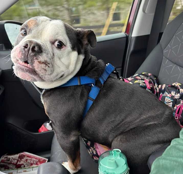 Photo of MACK