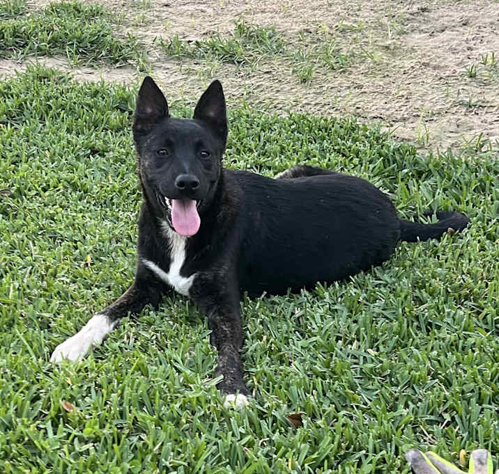 Photo of Jet