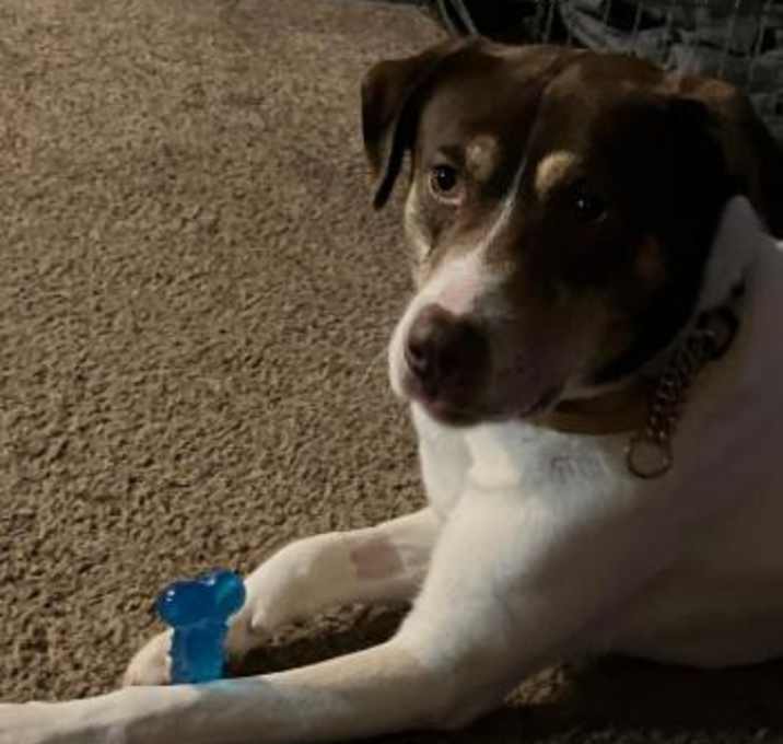 Photo of Mav
