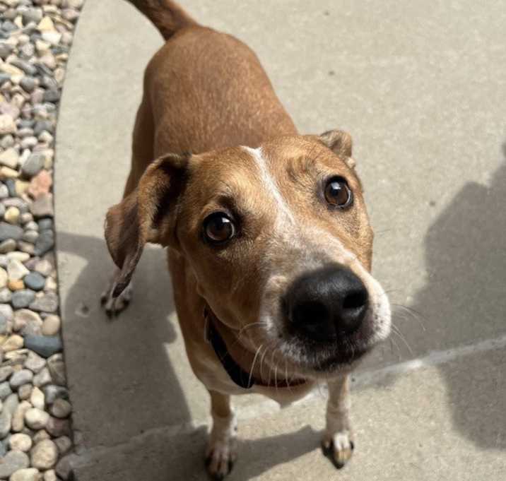 Photo of Harvey