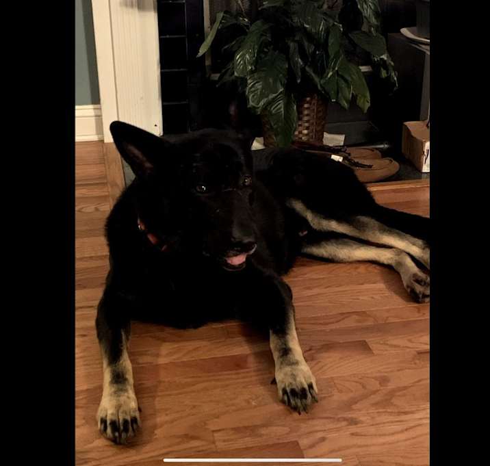 Photo of Gunner