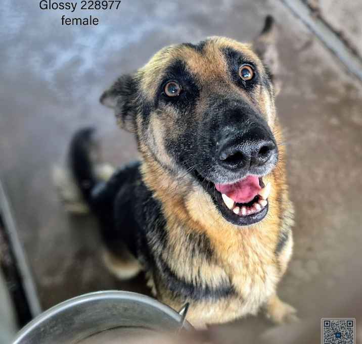 Photo of Glossy