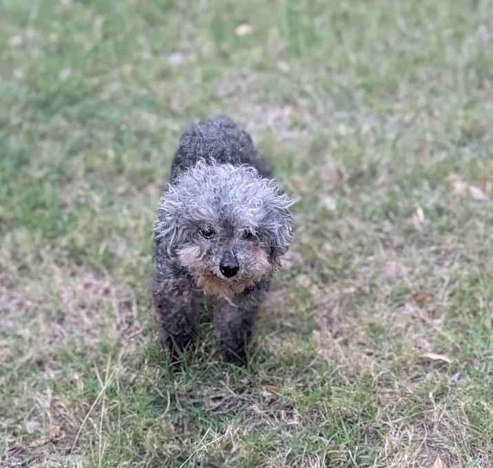 Photo of Zoe