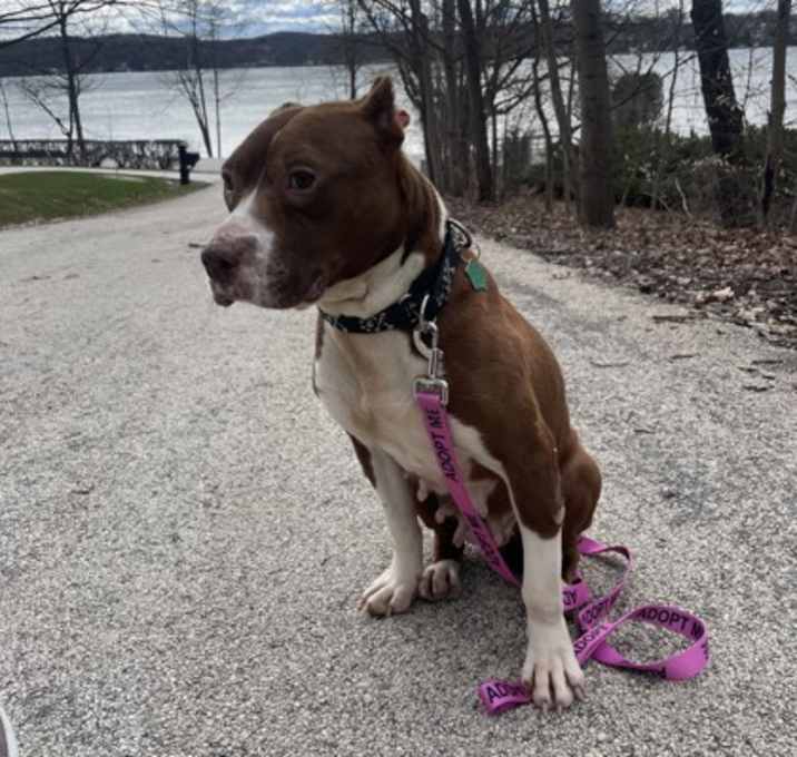Photo of MAGGIE