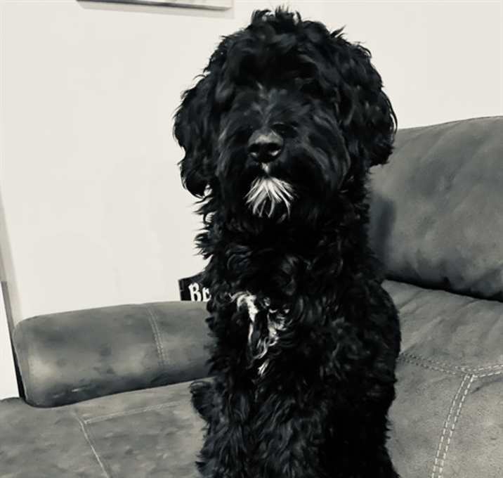 Photo of LUCY