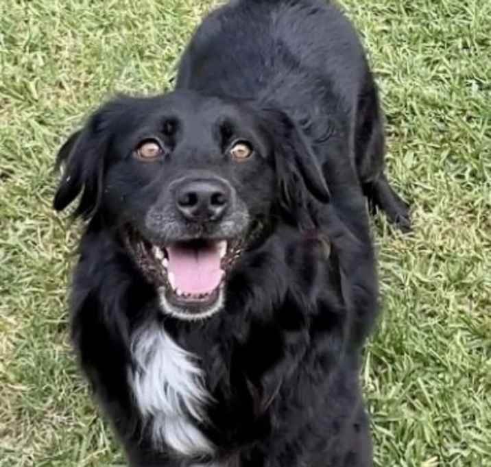 Photo of Lucy