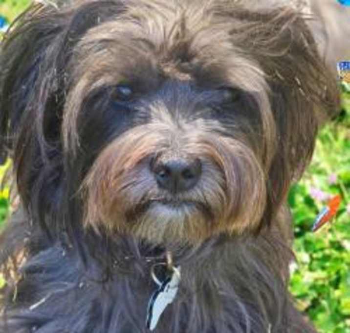Photo of Lexi