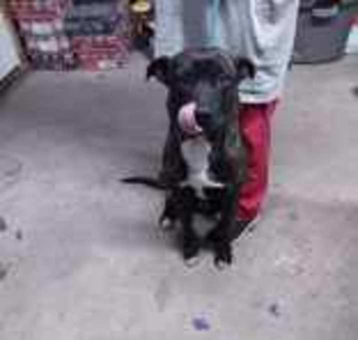 Photo of Big Boy
