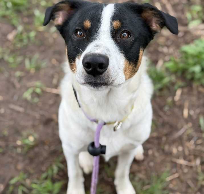 Photo of Denver