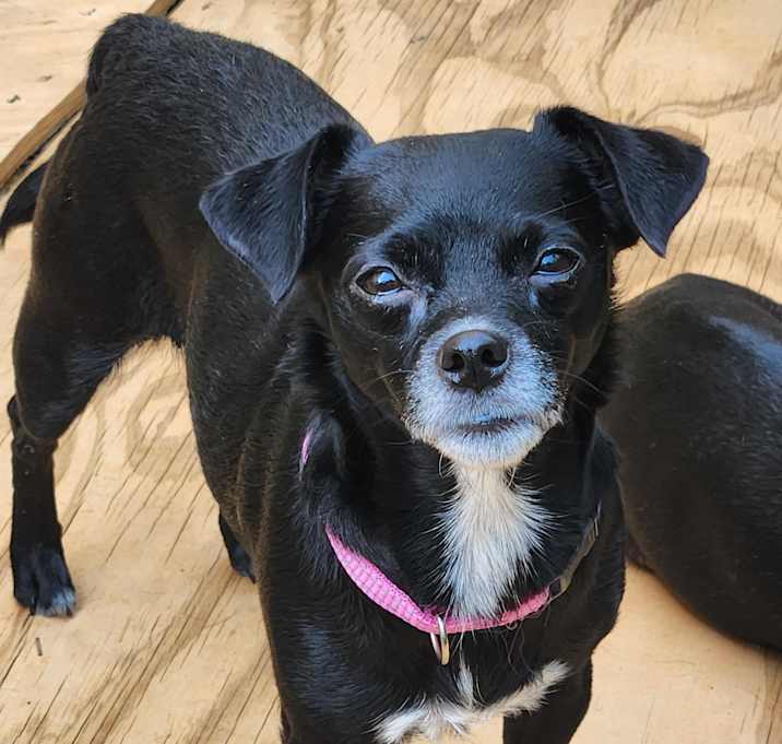 Photo of SUKI