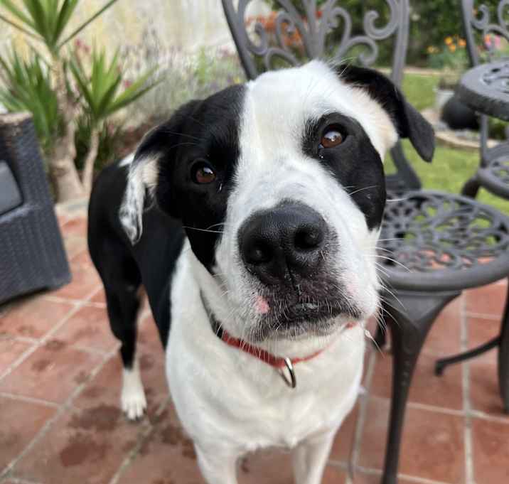 Photo of Southpaw