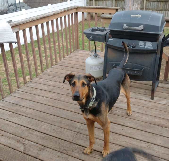 Photo of Molly