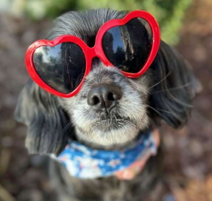 Photo of Lucy