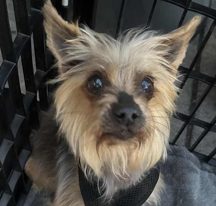 Photo of Gambit