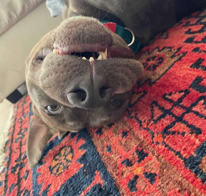 Photo of Bingo