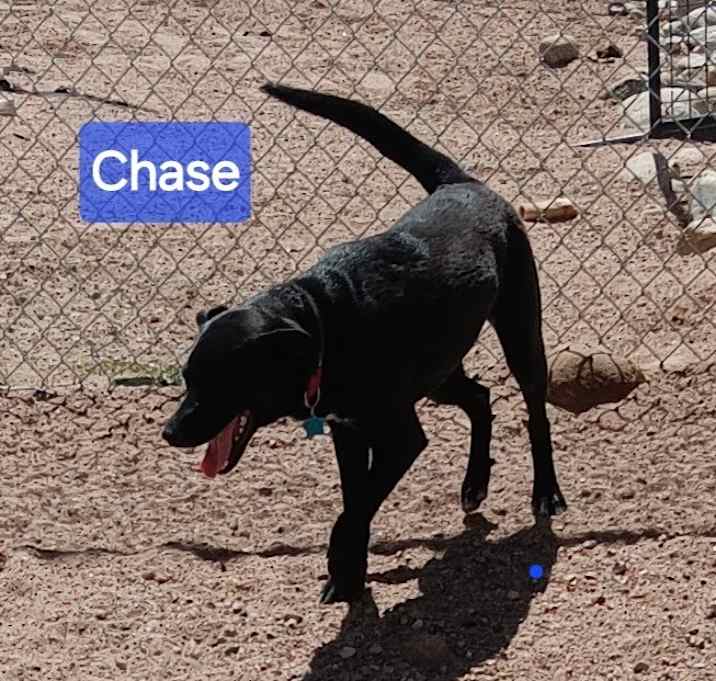 Photo of Chase