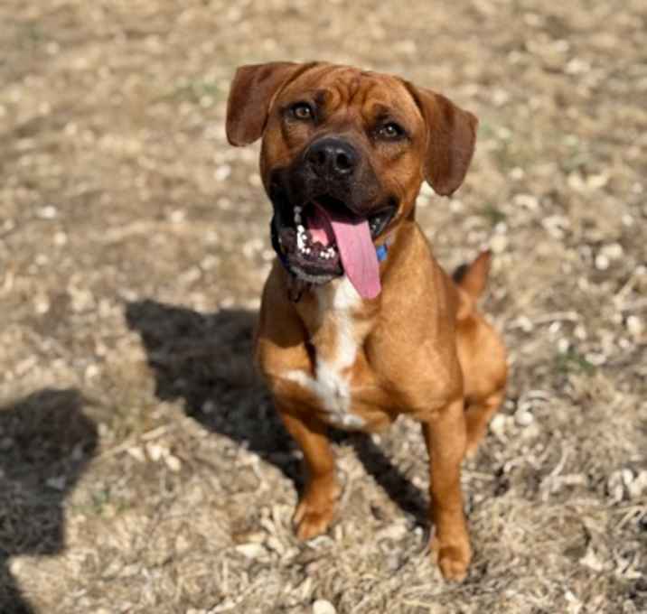Photo of Warden