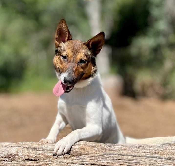 Photo of Lulu