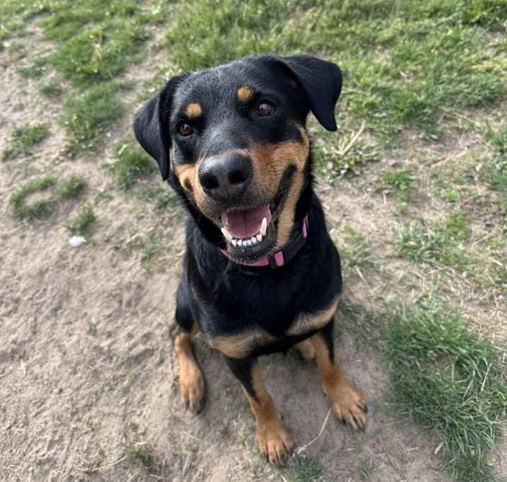 Photo of Zoe