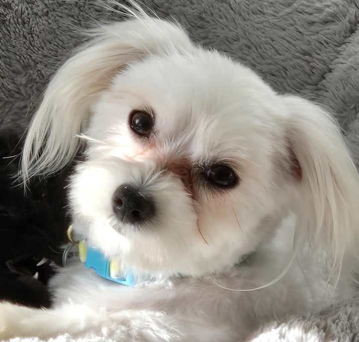 Photo of Pawla