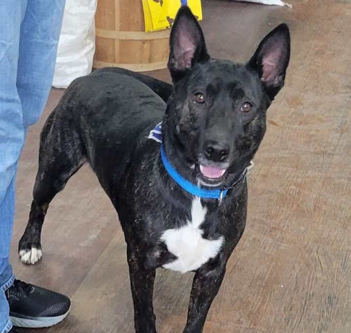 Photo of ZEKE