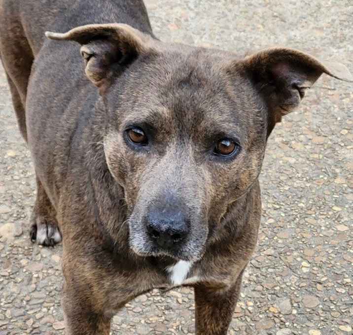 Photo of MOCHA