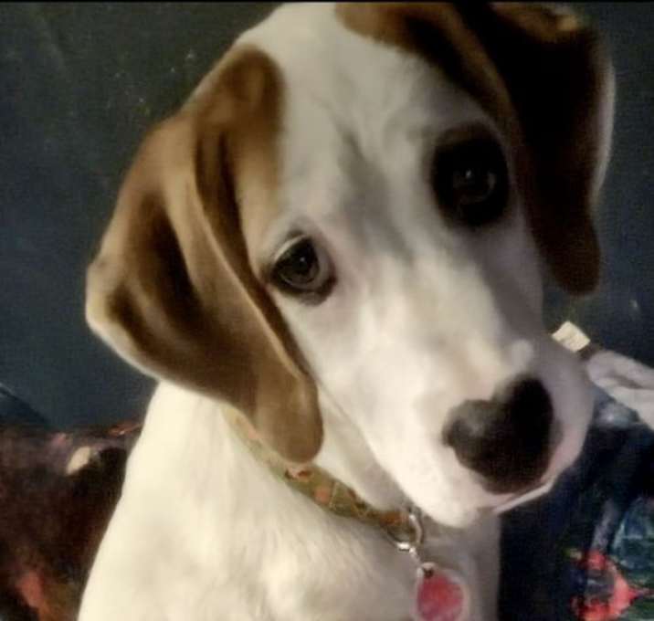 Photo of Waylon