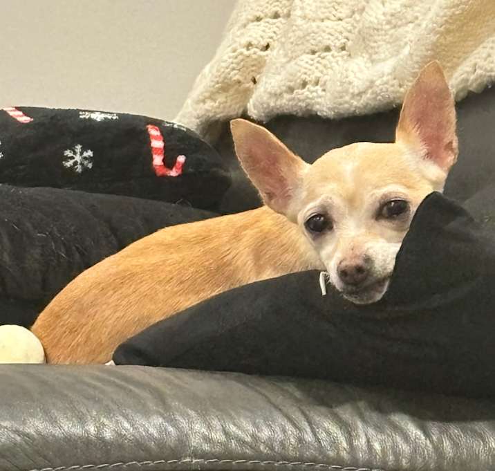 Photo of Mila