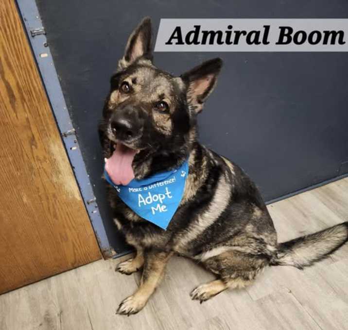 Photo of Admiral Boom