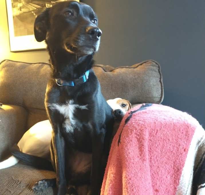 Photo of Amelie