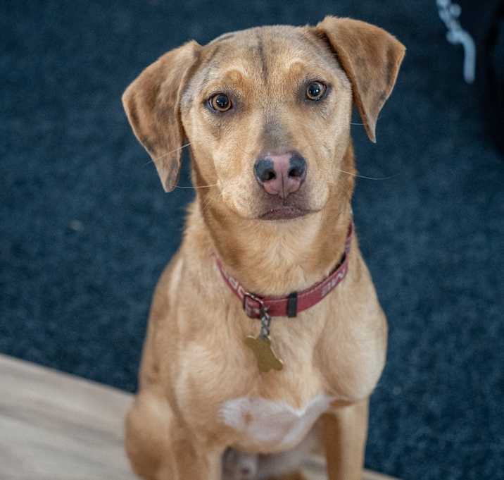 Photo of SANDY