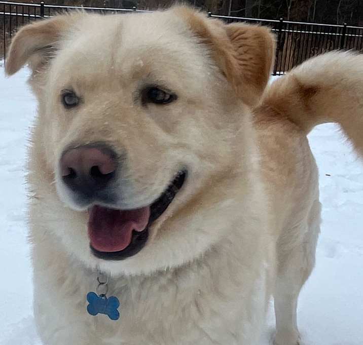 Photo of lucky