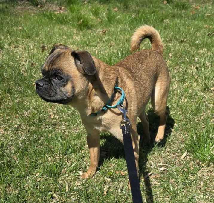 Photo of Skippy