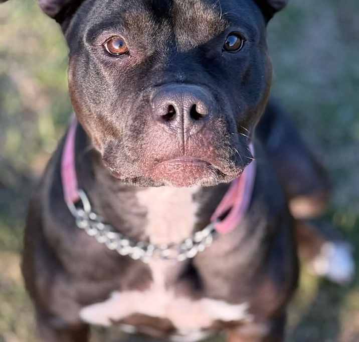 Photo of Becca