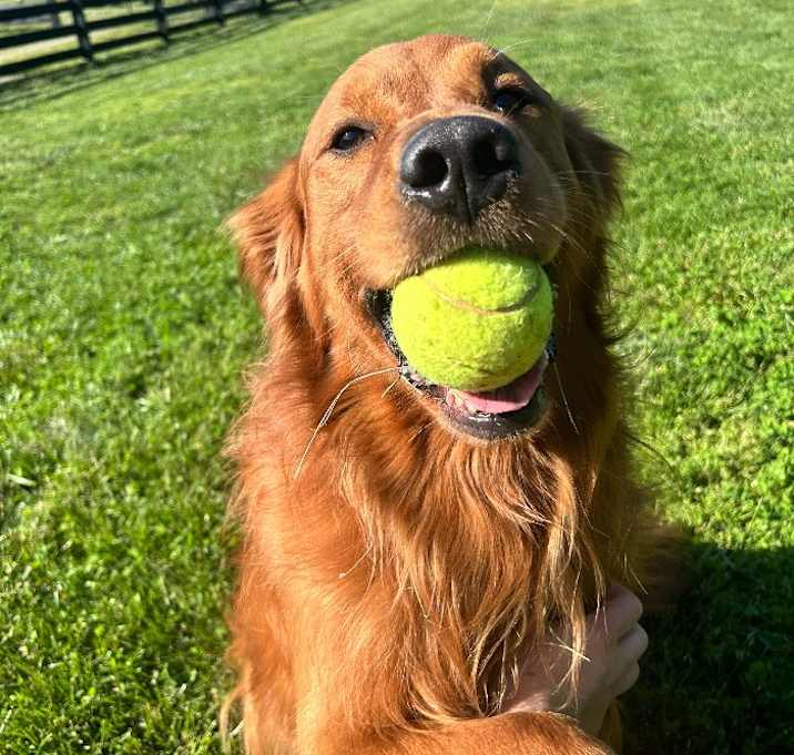 Photo of Buddy