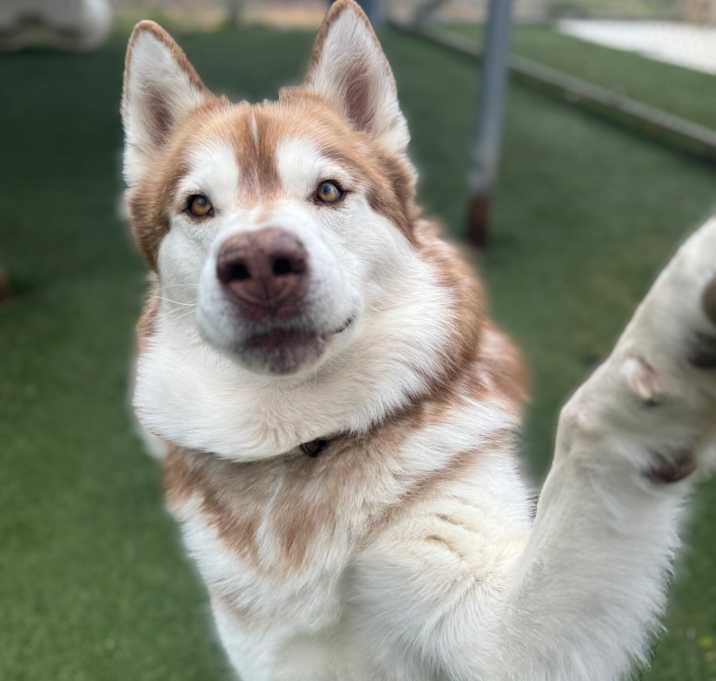 Photo of Micah