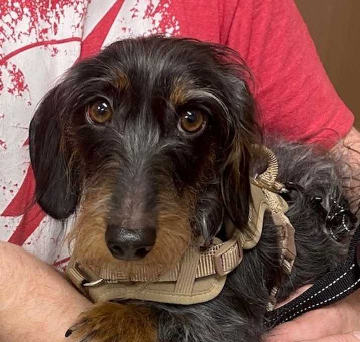 Photo of BEAU