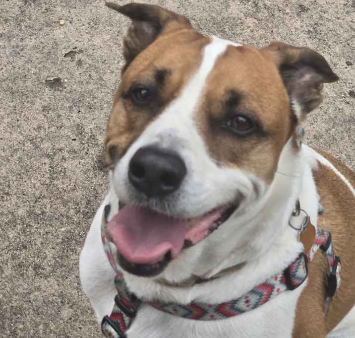 Photo of Rudy