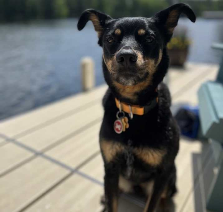 Photo of Barry