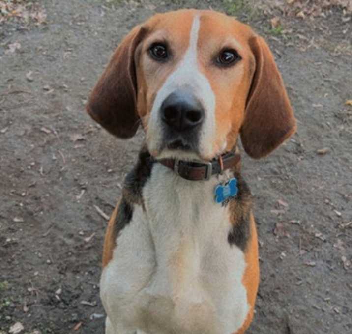 Photo of FLYNN