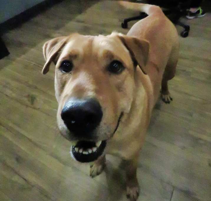Photo of Rubeus