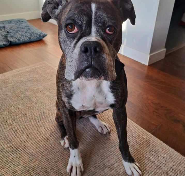 Photo of Sadie