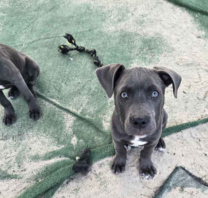 Photo of Maverick