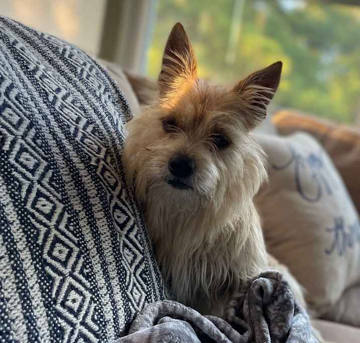 Photo of Manny