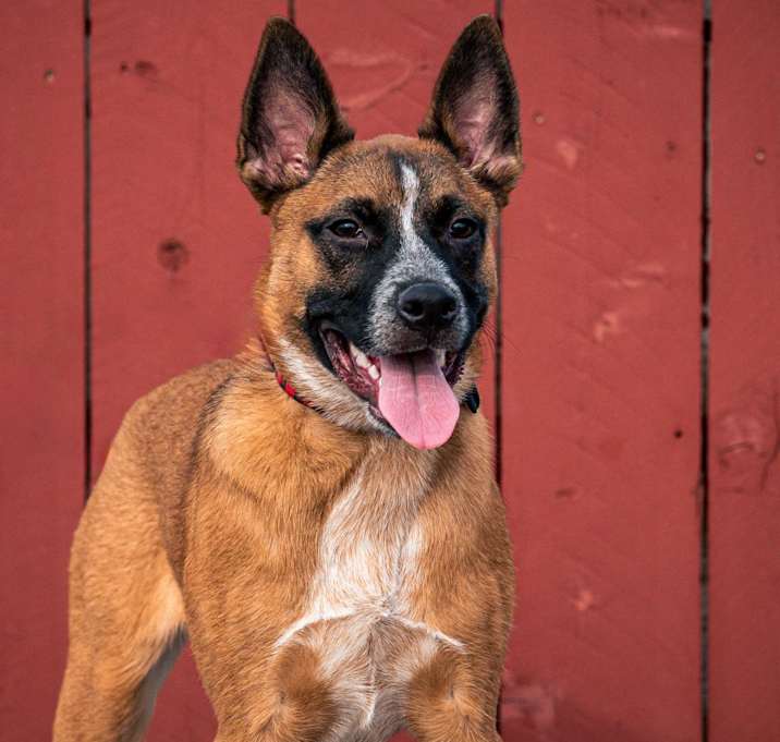 Photo of Tito